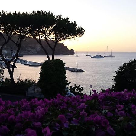 Lacco Ameno  Giardino Mediterraneo מראה חיצוני תמונה