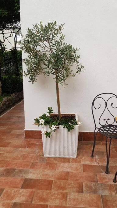 Lacco Ameno  Giardino Mediterraneo מראה חיצוני תמונה