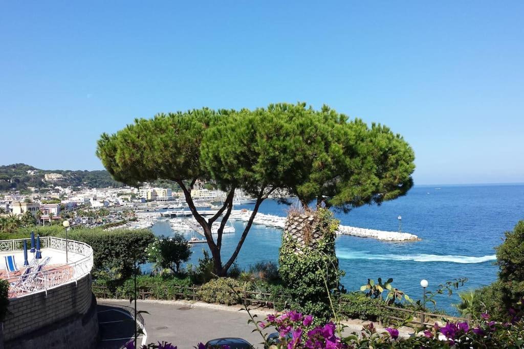 Lacco Ameno  Giardino Mediterraneo מראה חיצוני תמונה