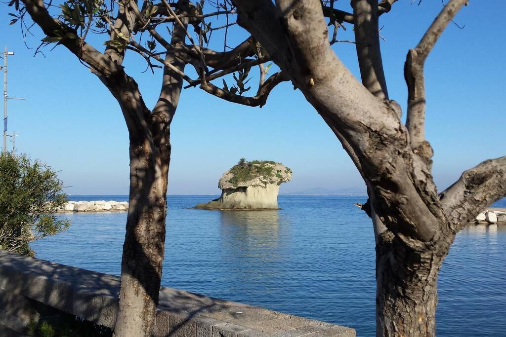 Lacco Ameno  Giardino Mediterraneo מראה חיצוני תמונה